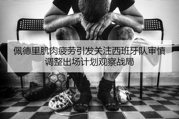 佩德里肌肉疲劳引发关注西班牙队审慎调整出场计划观察战局